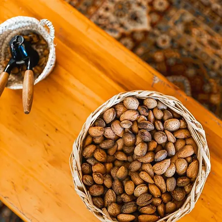 Santuario De Bellmunt * San Pedro de Torelló