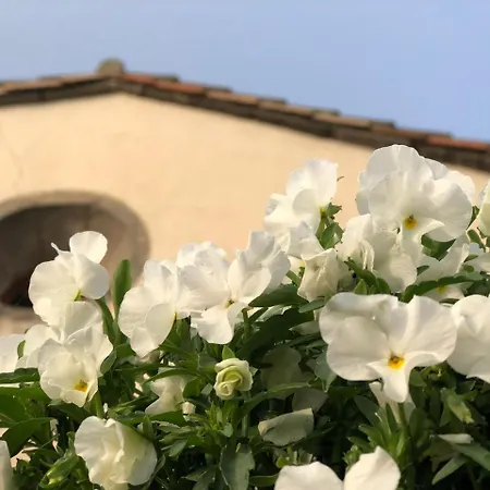 Santuario De Bellmunt *